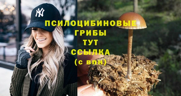 синтетический гашиш Балахна