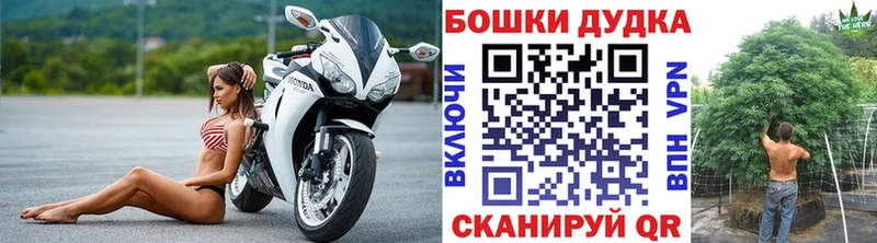 Бошки марихуана план Нефтегорск